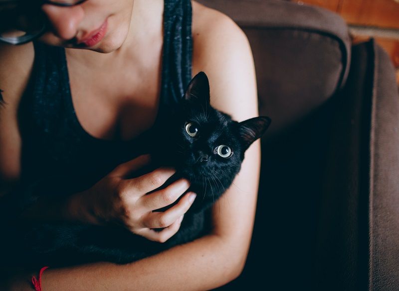Les chats préfèreraient les femmes aux hommes : voilà pourquoi ! | So Busy Girls