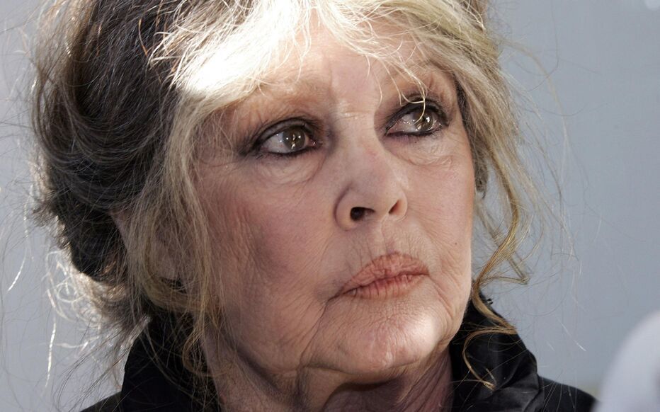 Brigitte Bardot sortie de l’hôpital : ce que révèle son mari | So Busy Girls