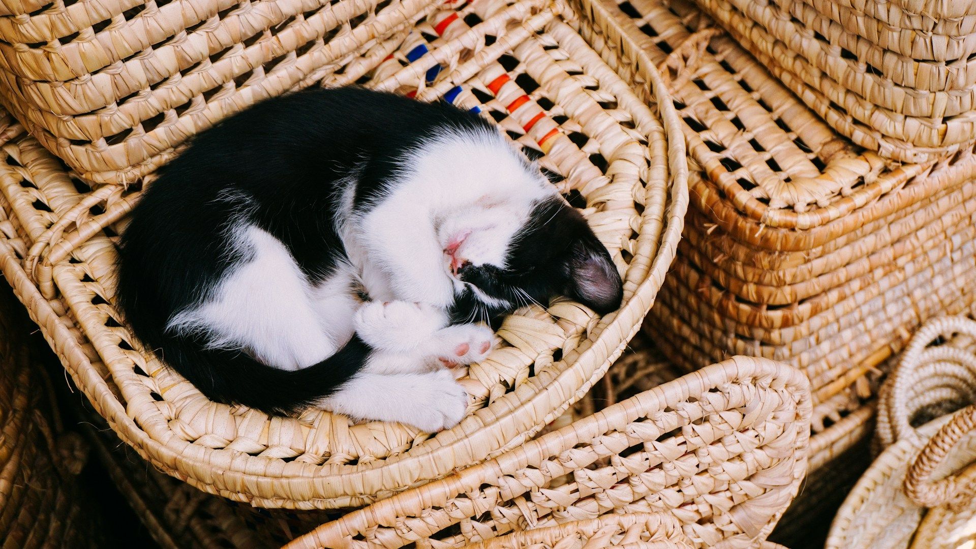Astuce naturelle pour bien dormir