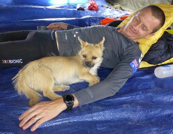 Un petit chien errant rejoint ce marathonien, court 100km avec lui et finit la course avec son nouveau maître ! | So Busy Girls