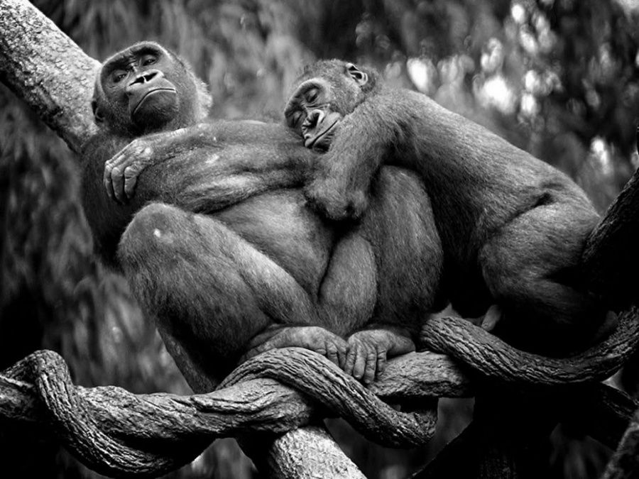 Je me sens bien quand je suis avec elle... | So Busy Girls