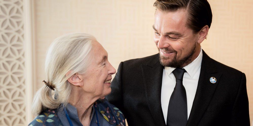 Jane Goodall est décédée : Leonardo DiCaprio pleure la mort d'une héroïne et amie proche