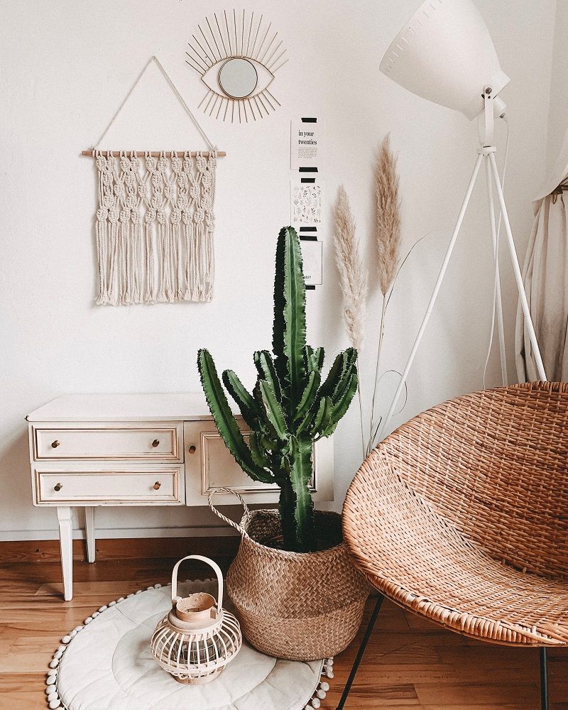 deco-salon-cactus