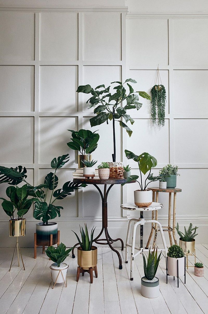 deco-vegetale-primark