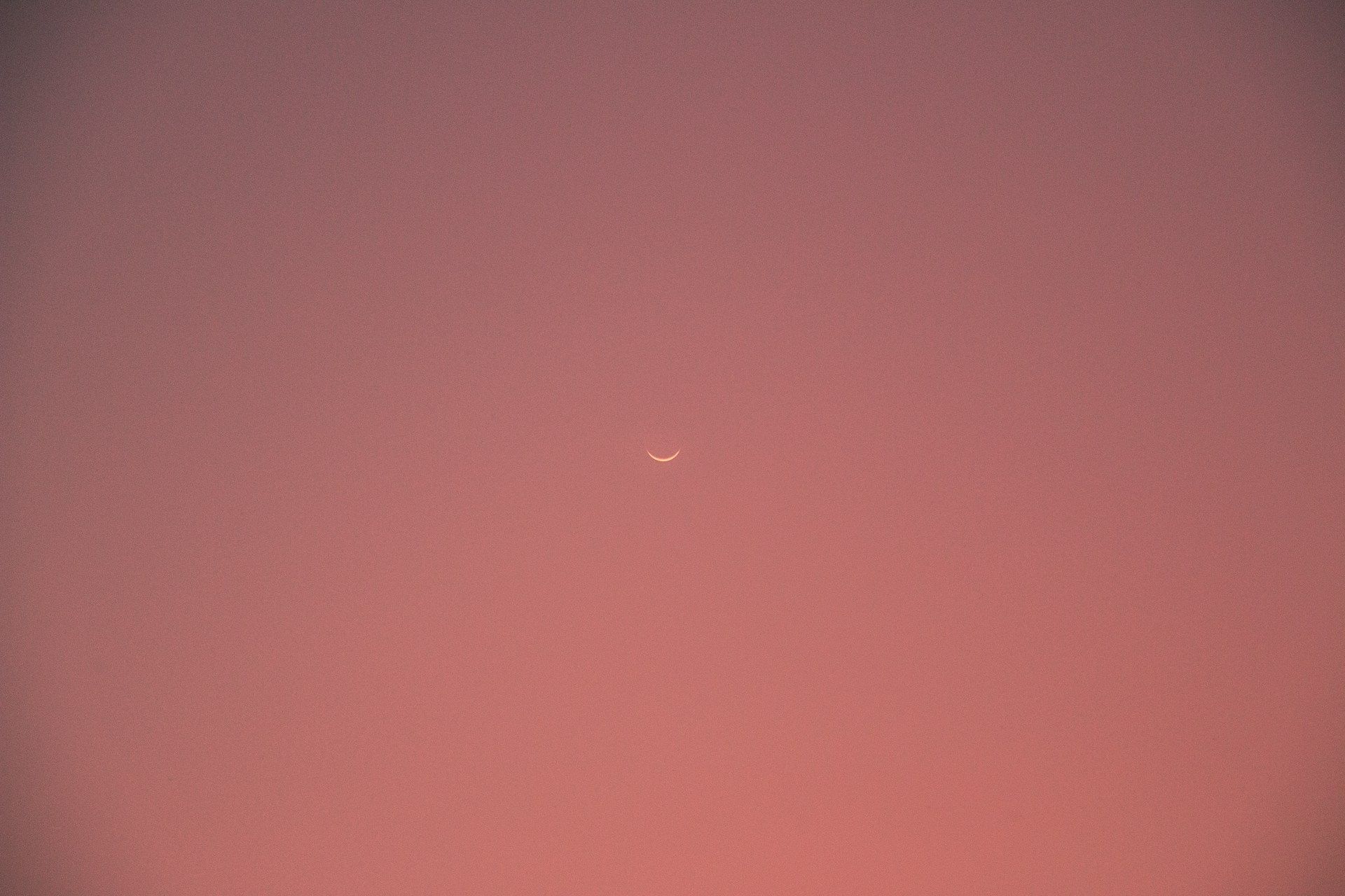 Ce que vous allez vraiment voir dans le ciel va vous surprendre : la lune rose pourrait prendre une teinte inattendue