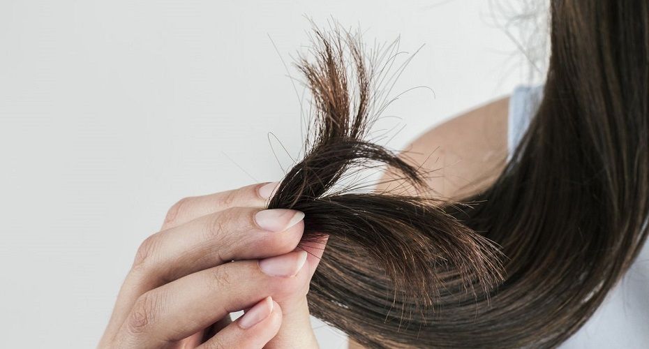 11 conseils efficaces pour éviter et soigner les fourches | So Busy Girls
