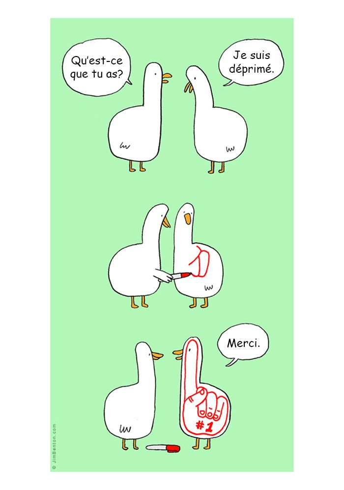 13 bandes dessinées amusantes sur les animaux | So Busy Girls