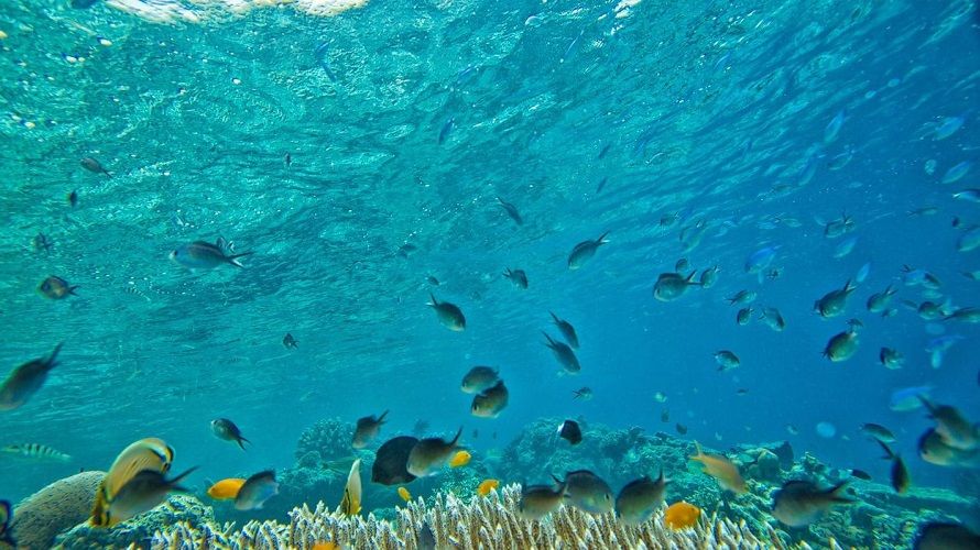 Découvrez Under, le premier restaurant d'Europe qui vous permet de manger... sous l'eau ! | So Busy Girls