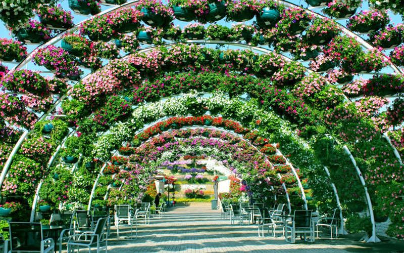 Découvrez le Dubaï Miracle Garden, le plus grand jardin de fleurs du monde ! | So Busy Girls