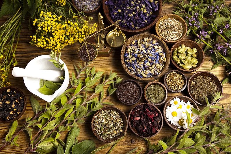 13 plantes adaptogènes et 5 bonnes raisons d'en consommer | So Busy Girls