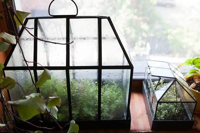 Cette jeune femme a planté plus de 500 plantes dans son appartement new-yorkais et l'a transformé en vrai jungle d'intérieur | So Busy Girls