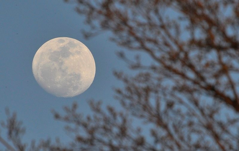 Quelle influence aura la Pleine Lune de sucre du 7 mars sur votre signe astro ? | So Busy Girls