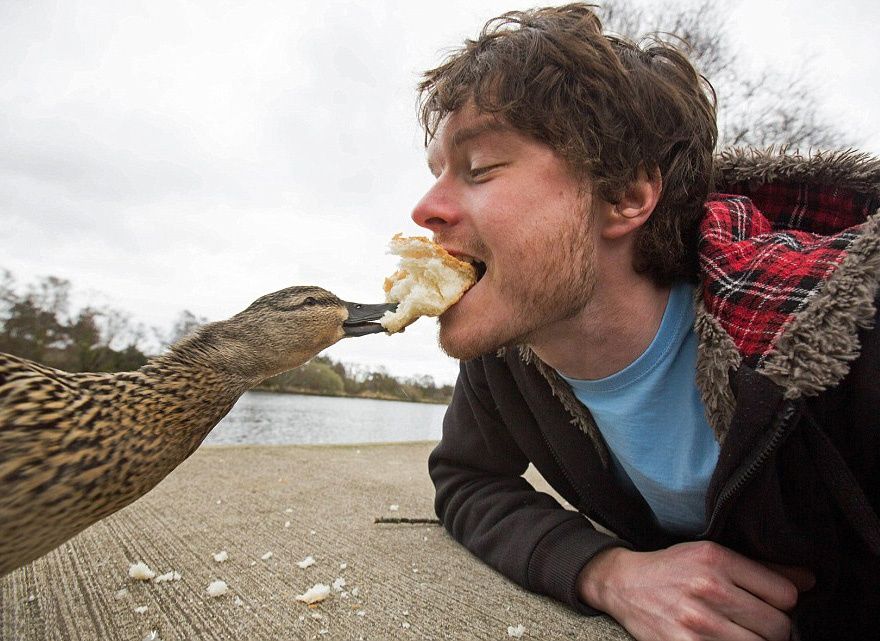 L'homme qui prenait des selfies géniaux avec des animaux | So Busy Girls