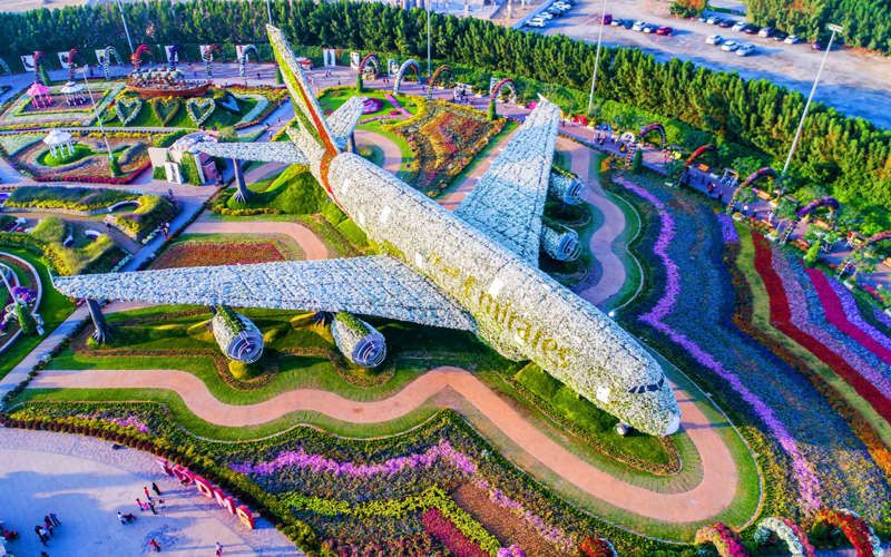 Découvrez le Dubaï Miracle Garden, le plus grand jardin de fleurs du monde ! | So Busy Girls