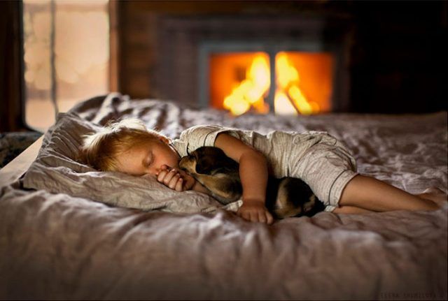 14 photos craquantes qui montrent que les chiens sont plus confortables que des oreillers | So Busy Girls