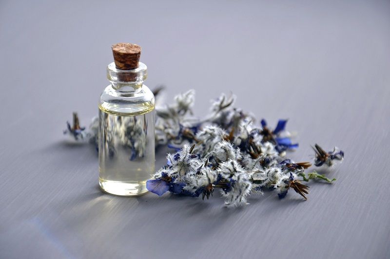 3 répulsifs anti moustiques naturels et très efficaces | So Busy Girls