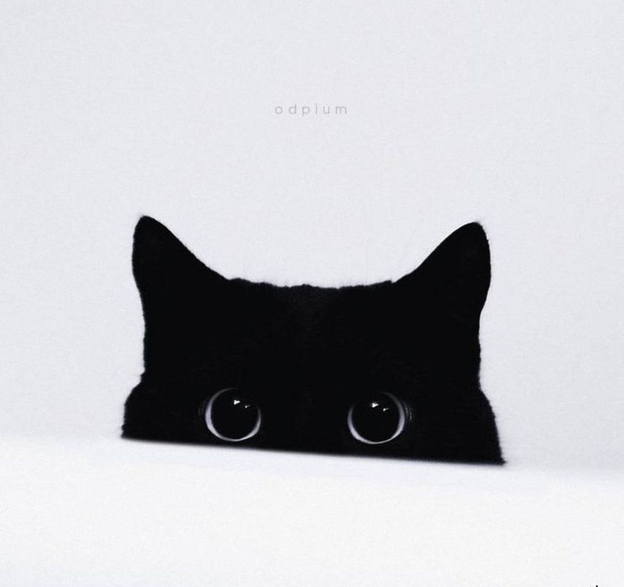 20 photos parfaites qui plairont à tous les minimalistes | So Busy Girls