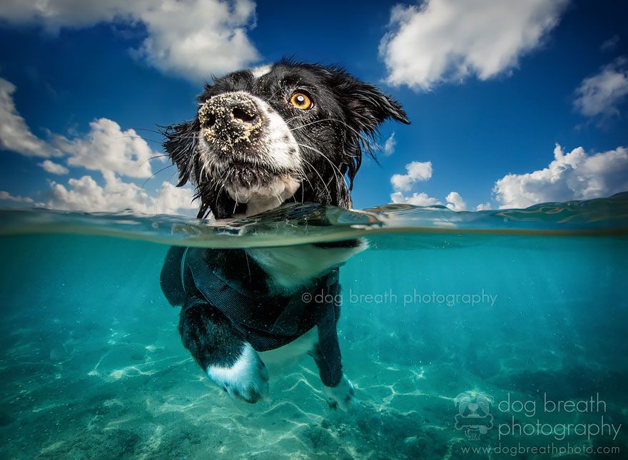 22 sublimes photos prises entre deux mondes | So Busy Girls