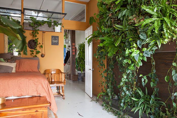 Cette jeune femme a planté plus de 500 plantes dans son appartement new-yorkais et l'a transformé en vrai jungle d'intérieur | So Busy Girls