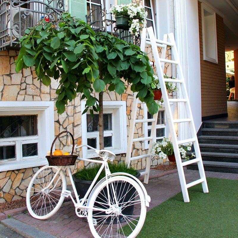 echelle-blanche-velo-jardin