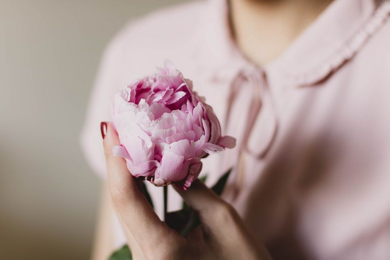 Comment faire pousser des bulbes à fleurs en France ? | So Busy Girls