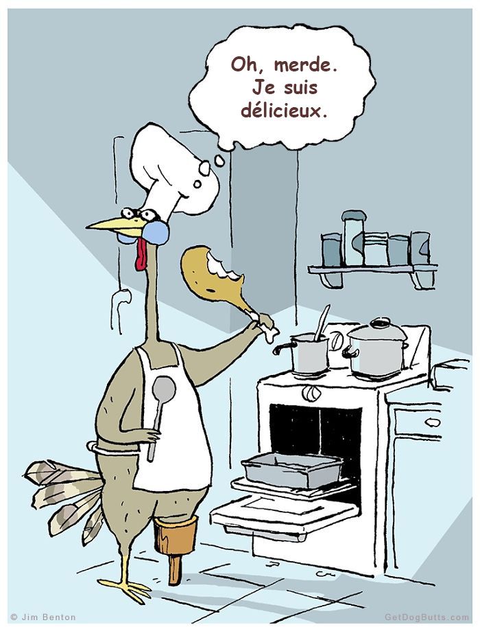 13 bandes dessinées amusantes sur les animaux | So Busy Girls