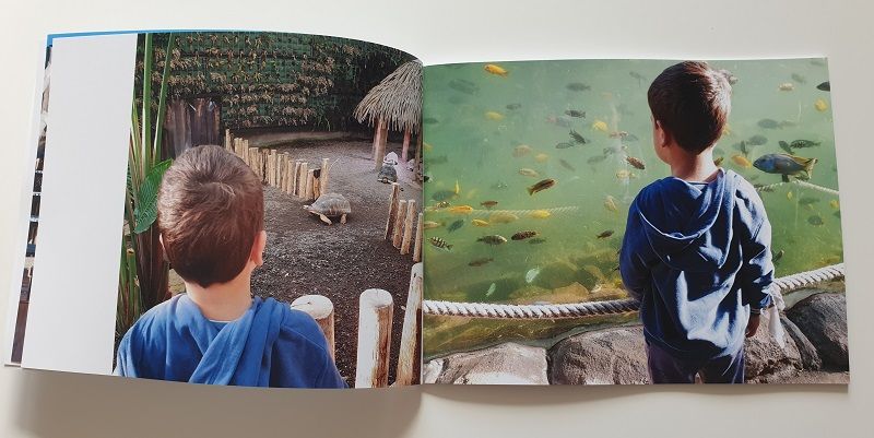 enfant-aquarium-poissons