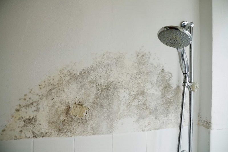 enlever-moisissure-salle-de-bain