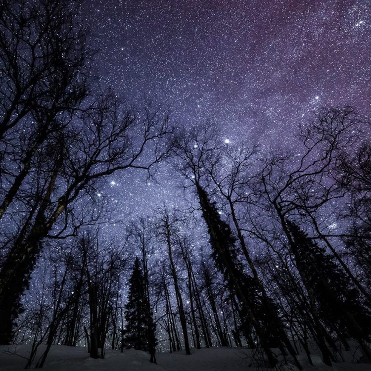 15 photos qui montrent que la Laponie est l’endroit le plus magique pour fêter Noël | So Busy Girls