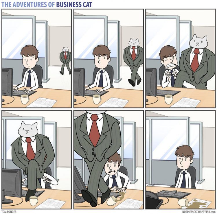 Voilà à quoi ressemblerait votre patron s’il était un chat (petit indice : c'est très drôle !) | So Busy Girls