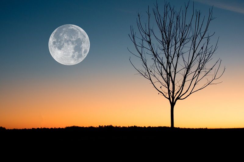 Voici les effets que va avoir la Nouvelle Lune en Cancer du 10 juillet 2021 | So Busy Girls