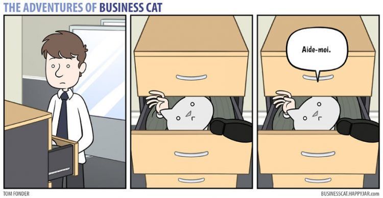 Voilà à quoi ressemblerait votre patron s’il était un chat (petit indice : c'est très drôle !) | So Busy Girls