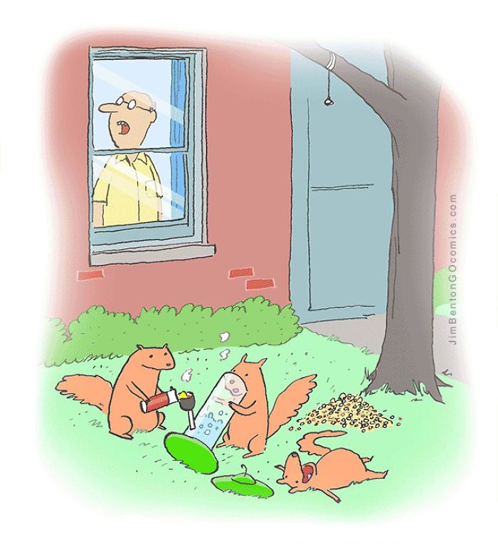 13 bandes dessinées amusantes sur les animaux | So Busy Girls