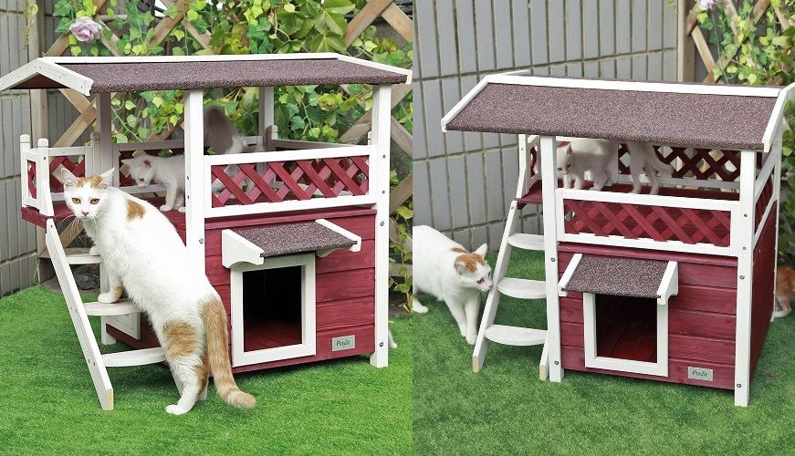 Votre chat va ADORER sa nouvelle maison avec un étage, un auvent et une chatière ! | So Busy Girls