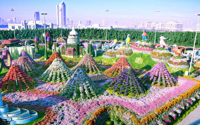 Découvrez le Dubaï Miracle Garden, le plus grand jardin de fleurs du monde ! | So Busy Girls