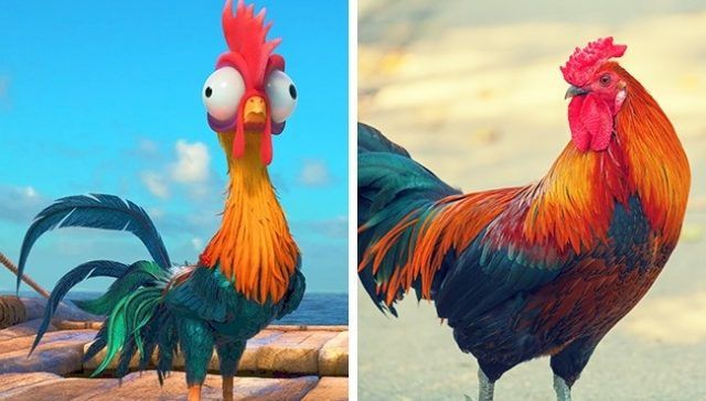 HeiHei (Vaiana, la Légende du bout du monde) | So Busy Girls