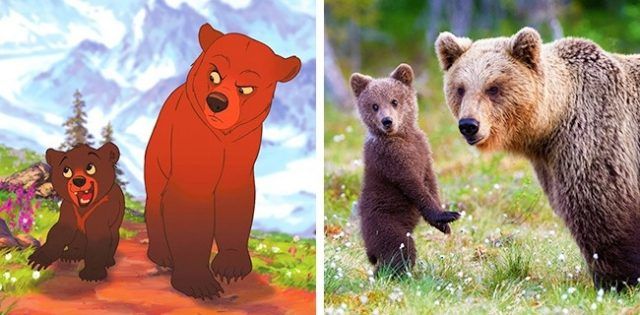 Kenai et Koda (Frère des ours) | So Busy Girls