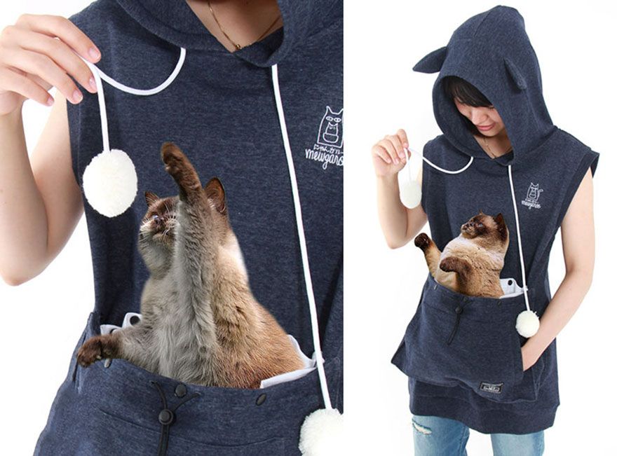 Des sweats poche kangourou qui vous permettent d'emmener votre chat partout avec vous | So Busy Girls