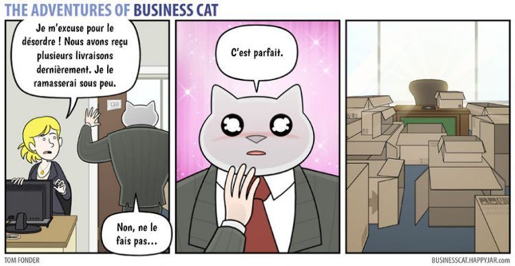 Voilà à quoi ressemblerait votre patron s’il était un chat (petit indice : c'est très drôle !) | So Busy Girls