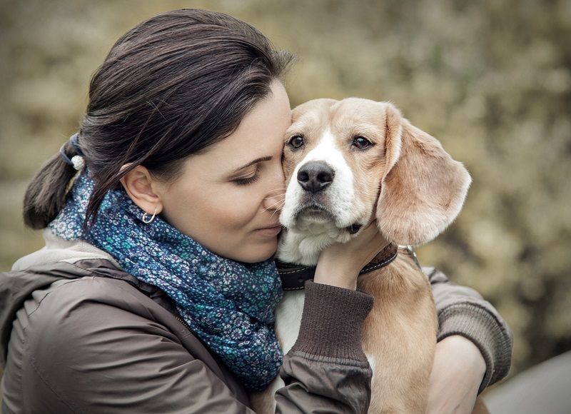 Escape Game pour chien