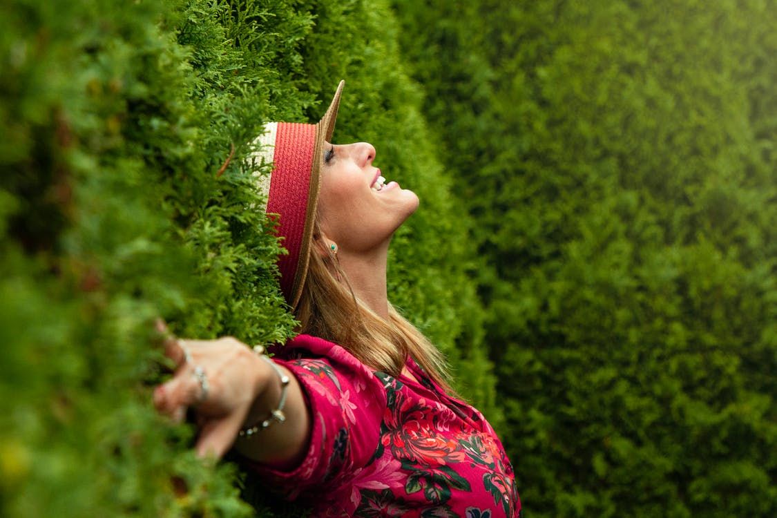 Quelles sont les plantes les plus relaxantes ?