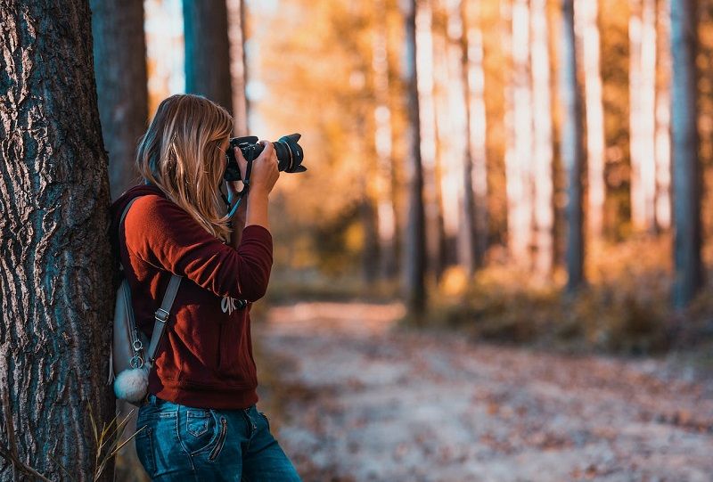 femme-qui-prend-des-photos-appareils-photo-foret