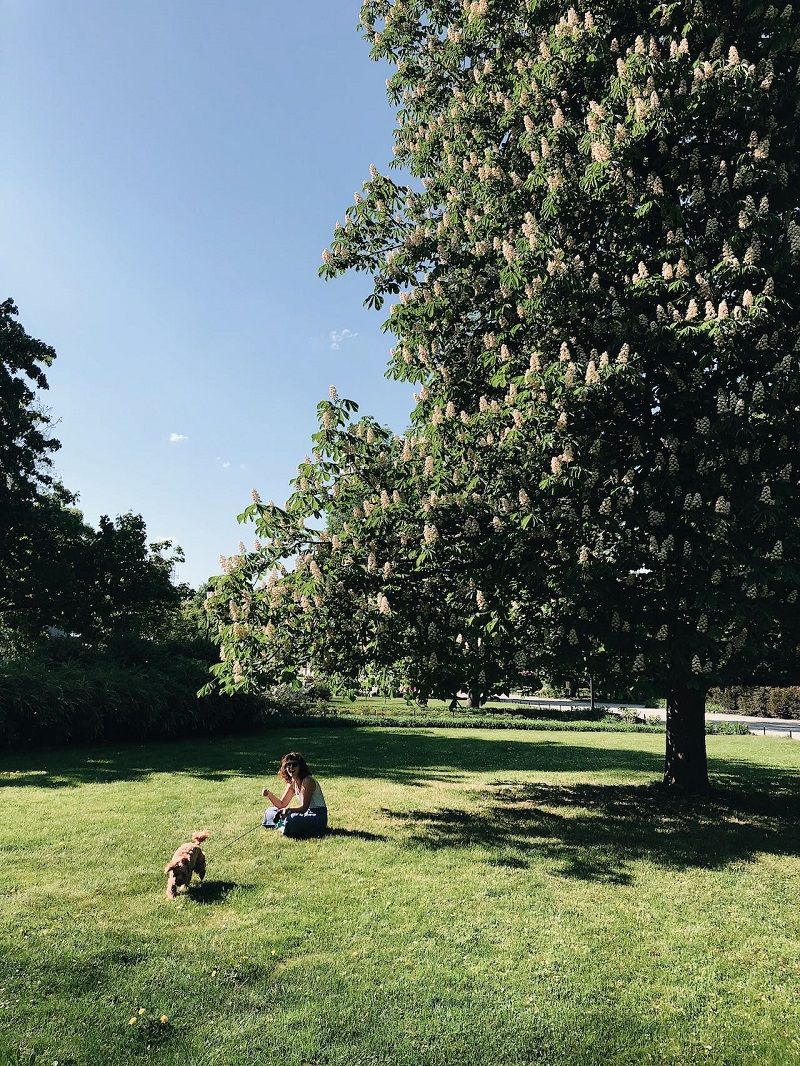 femme-qui-promene-son-chien-au-parc
