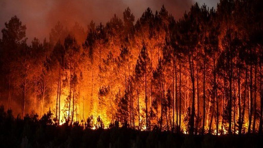 Ils deviendront bient&ocirc;t inarr&ecirc;tables : les experts expliquent pourquoi les feux de for&ecirc;t seront de plus en plus meurtriers et incontr&ocirc;lables