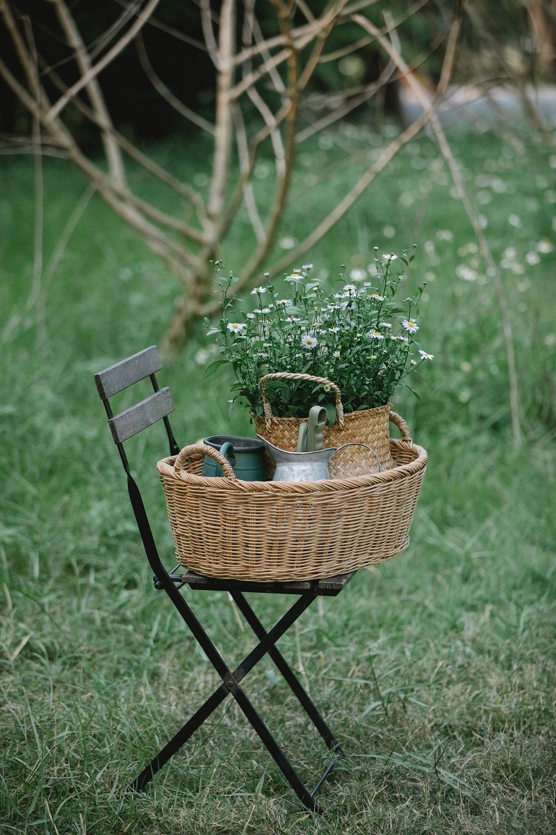 fleurs-en-pot