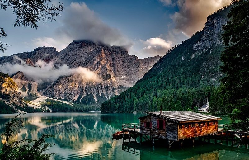 foret-montagne-cabane-bois