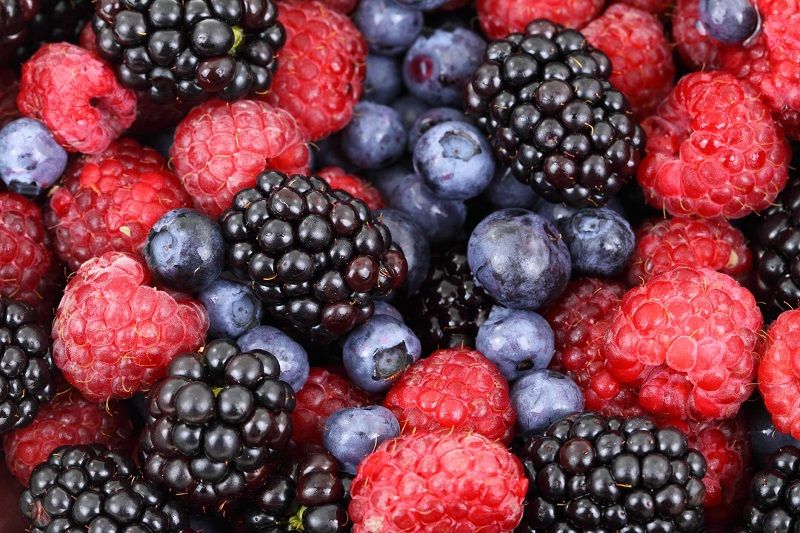 fruits-rouges-myrtilles-mures-framboises