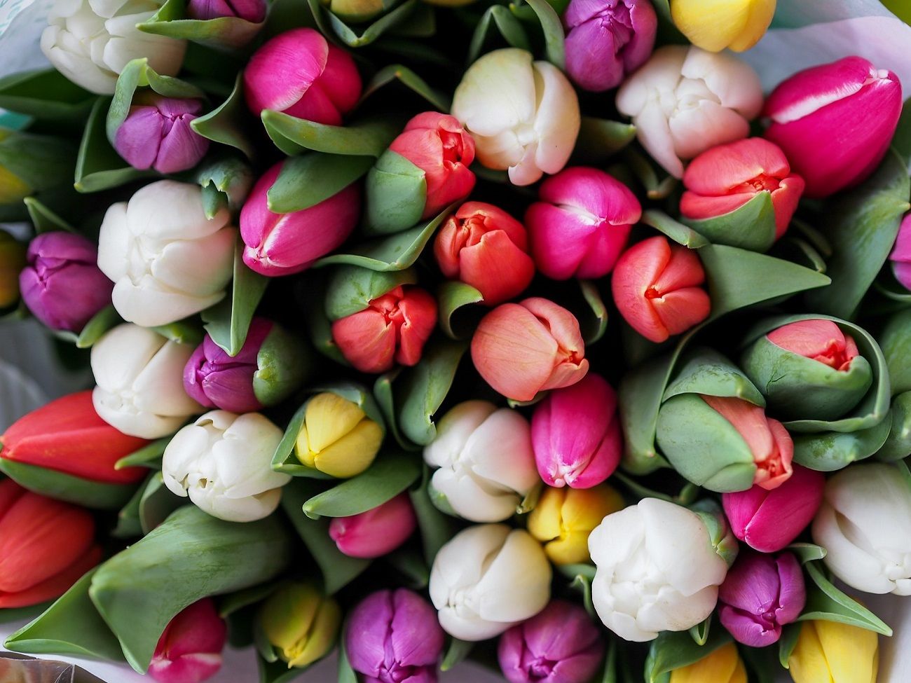 Horoscope 14 avril 2025 pour chaque signe astrologique