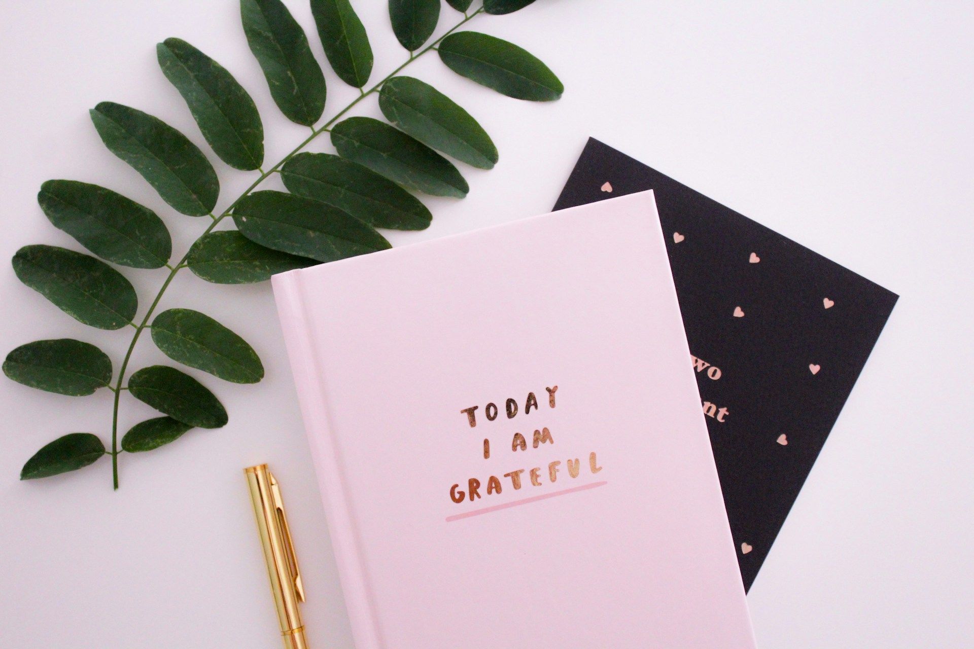 Exprimer sa gratitude : le point commun des personnes qui réussissent