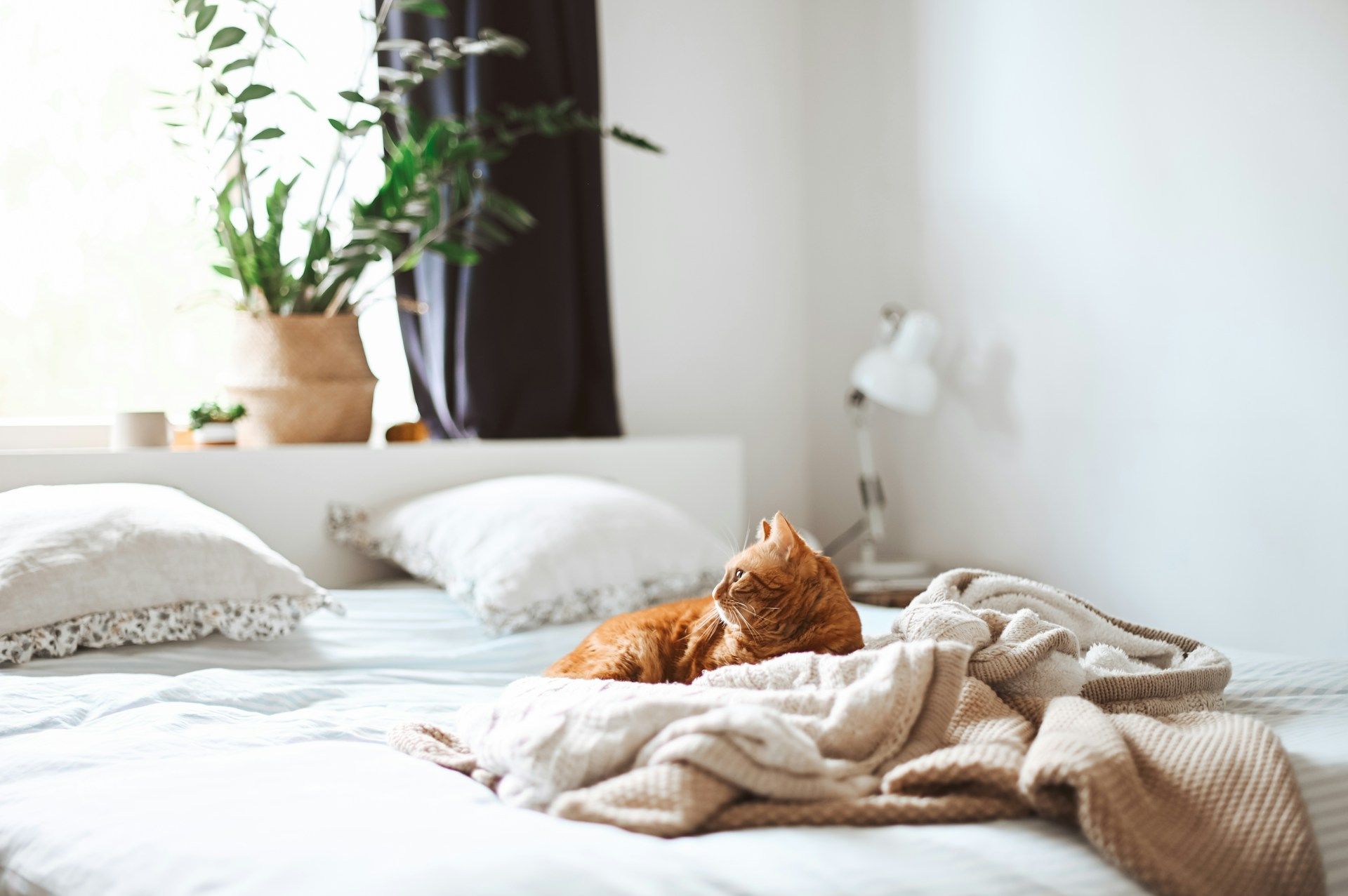 Pourquoi ne pas faire son lit le matin ? Les avantages.